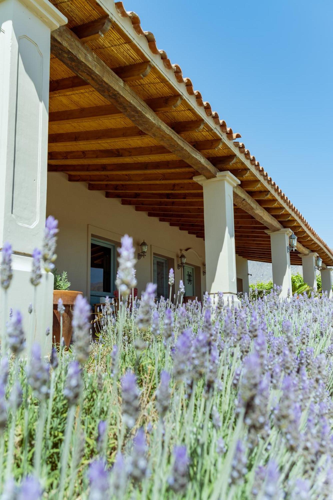 El Porvenir Wine Lodge Cafayate Exterior foto