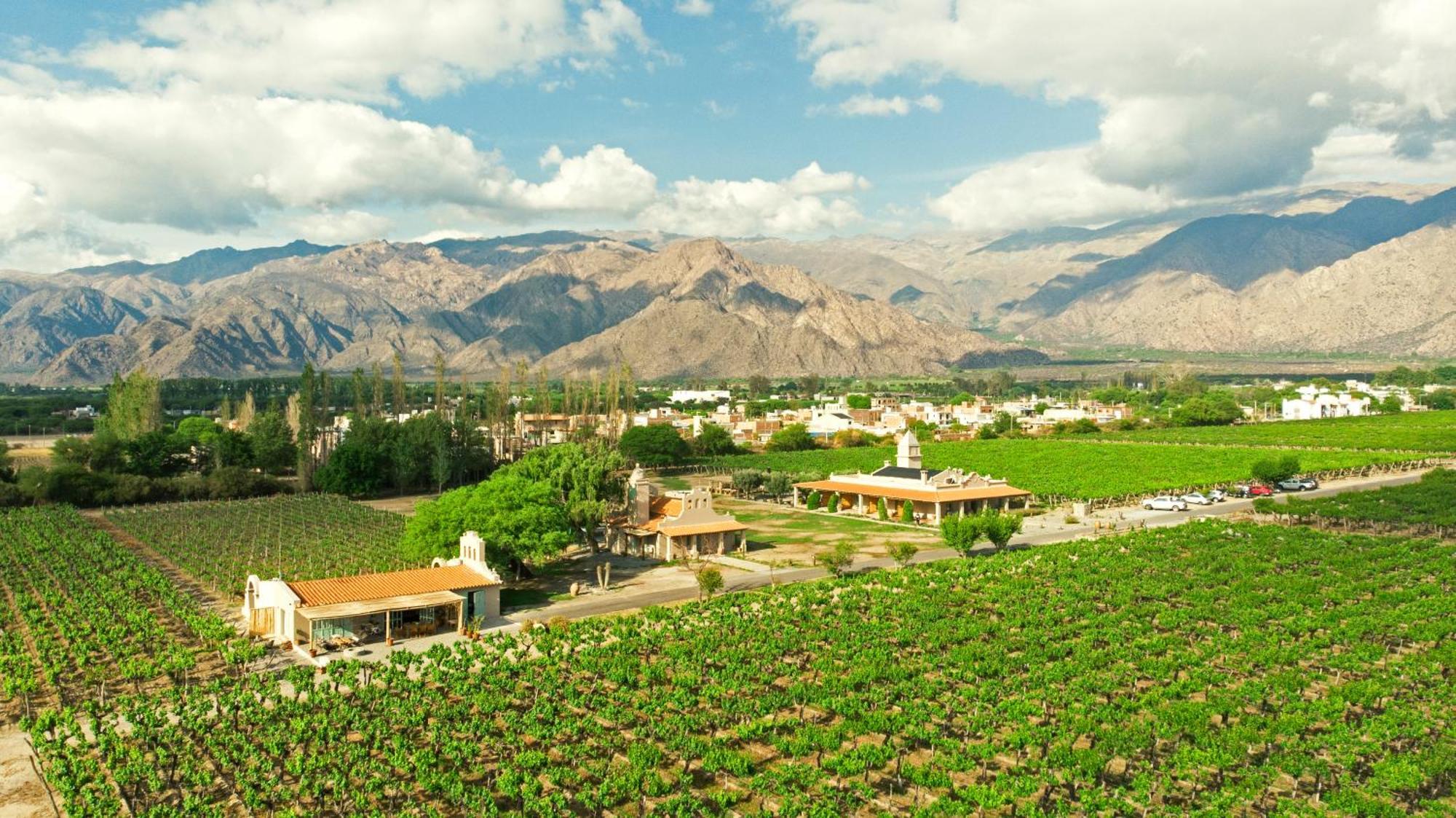 El Porvenir Wine Lodge Cafayate Exterior foto