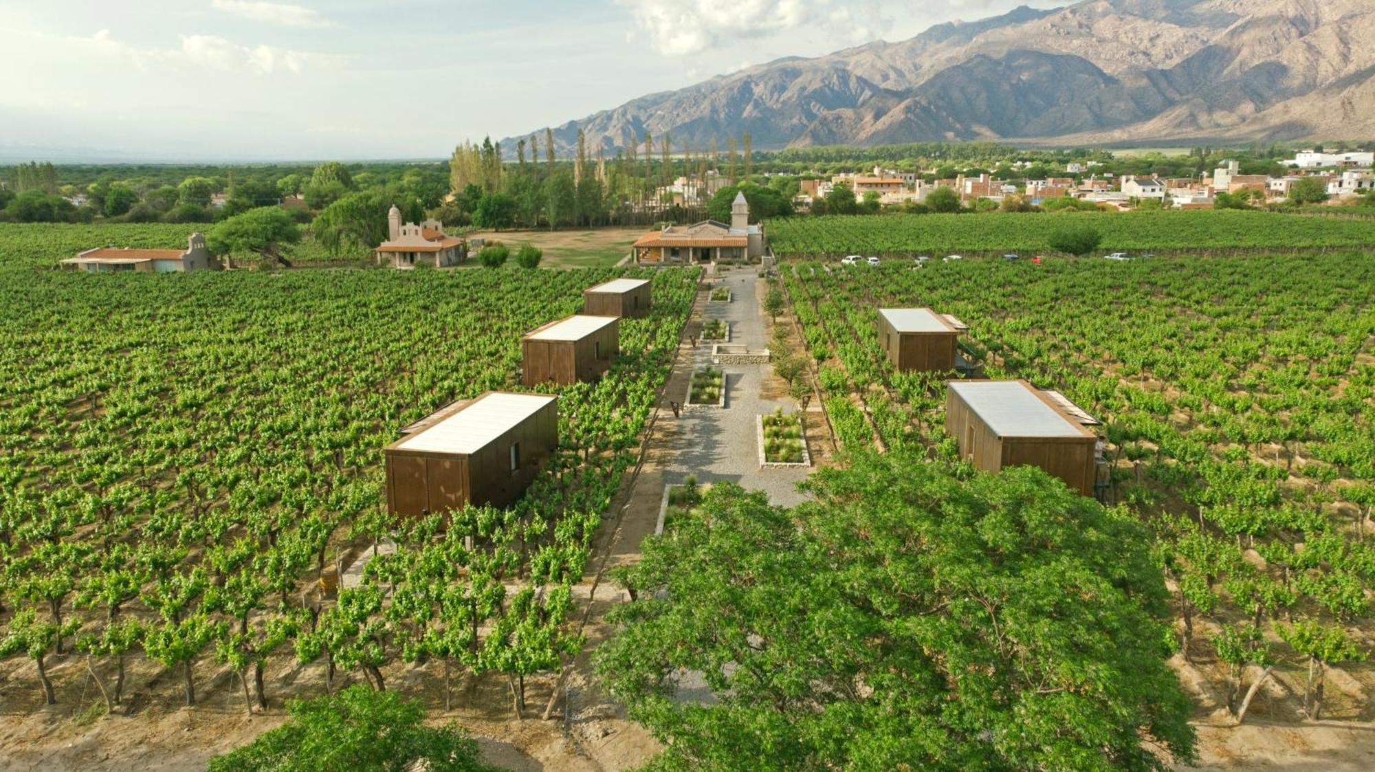 El Porvenir Wine Lodge Cafayate Exterior foto