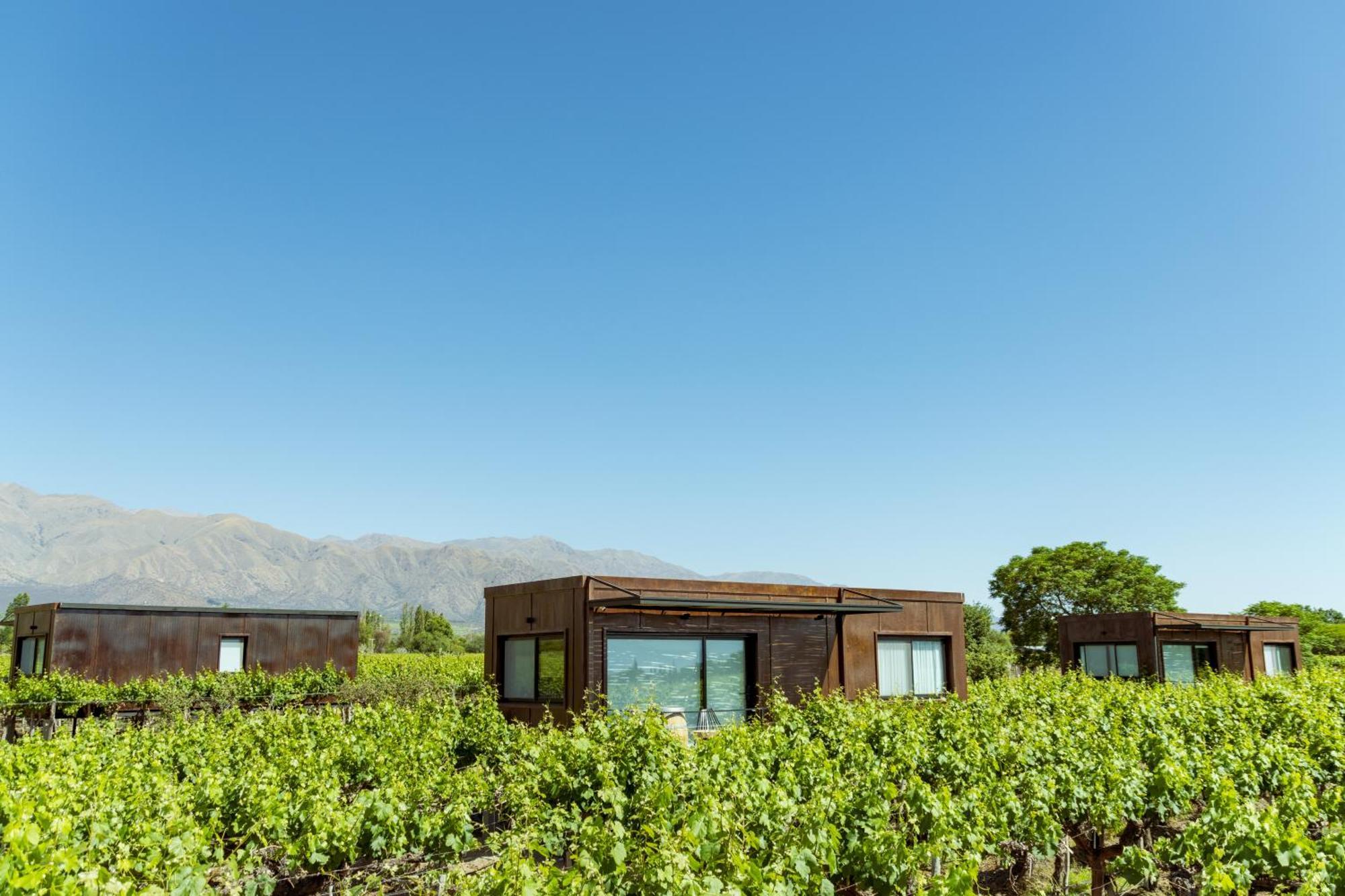 El Porvenir Wine Lodge Cafayate Exterior foto