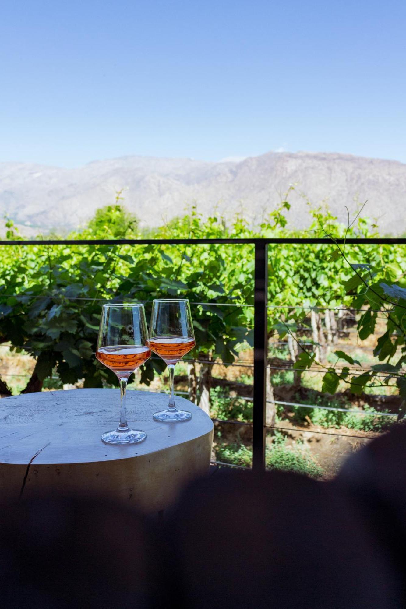 El Porvenir Wine Lodge Cafayate Exterior foto