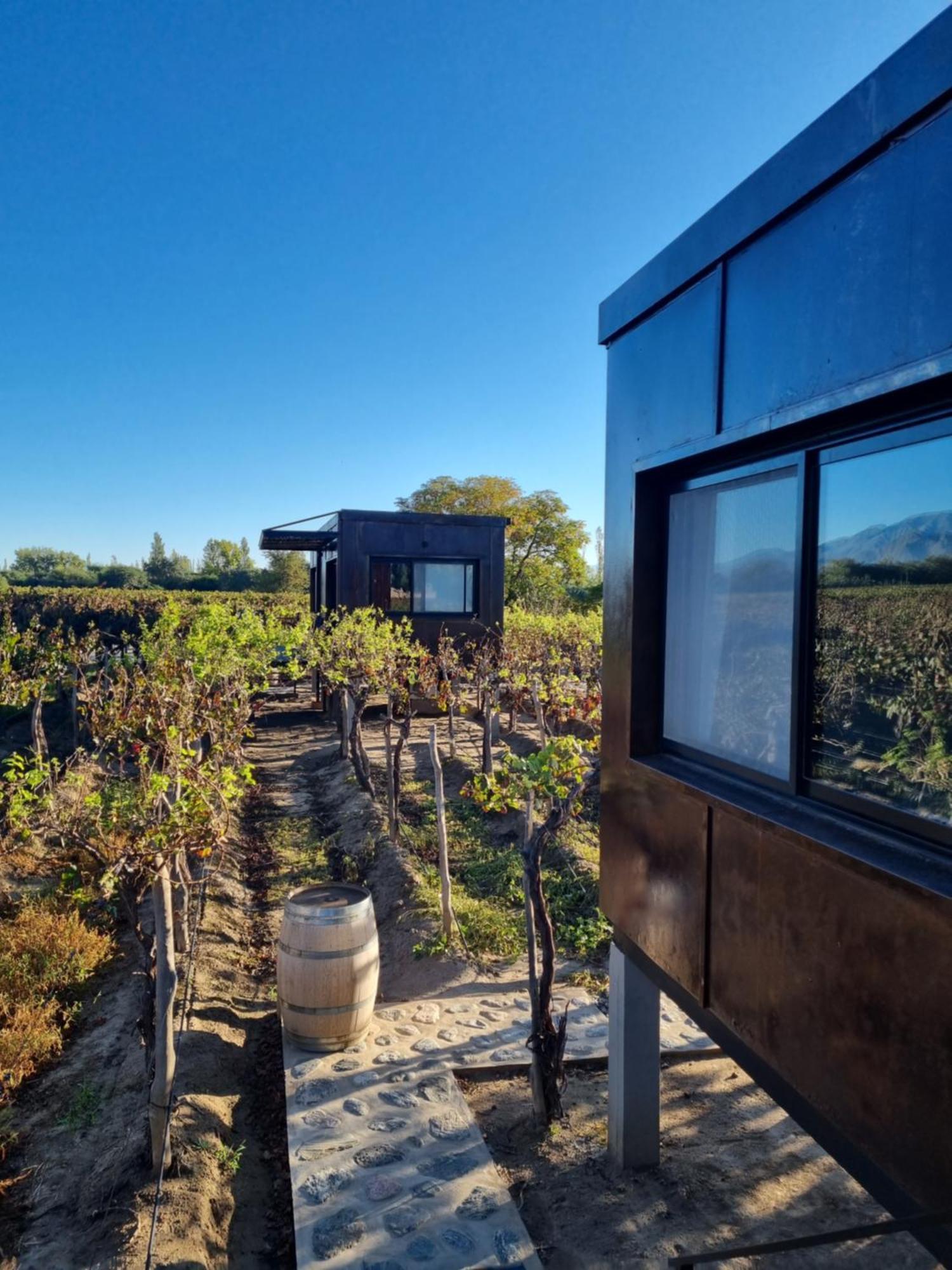 El Porvenir Wine Lodge Cafayate Exterior foto